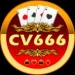 CV666